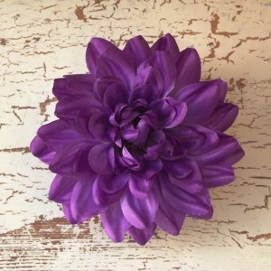 PurplePlateDahlia