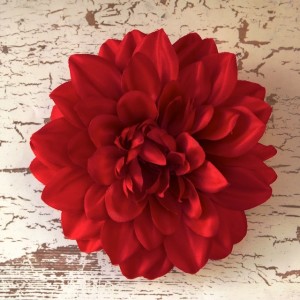 RedPlateDahlia