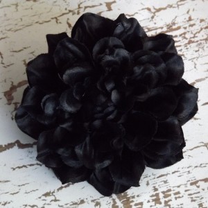 DahliaBlack