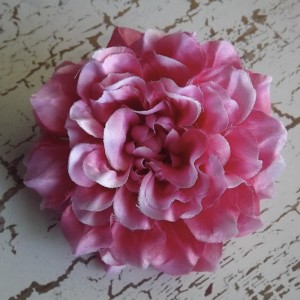DahliaHotPink
