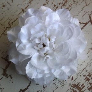 DahliaWhite