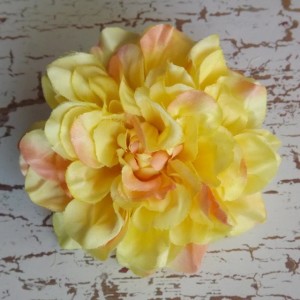 DahliaYellow